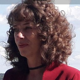 , 53, 